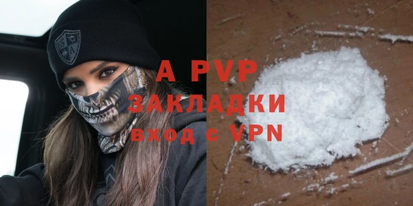 хмурый Аркадак