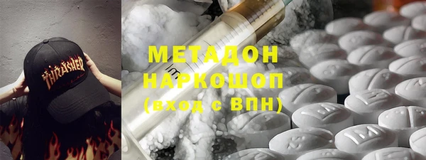 хмурый Аркадак