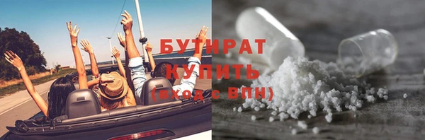 хмурый Аркадак
