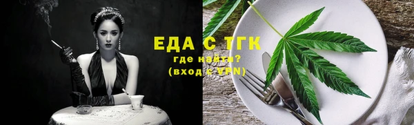хмурый Аркадак