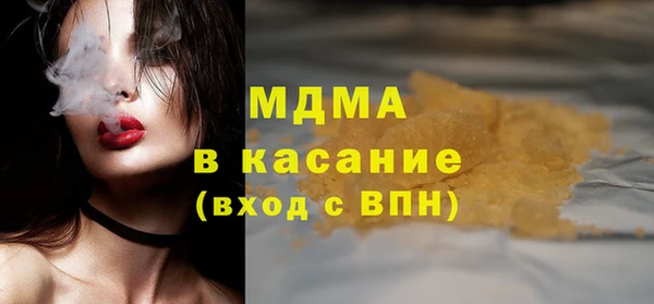 хмурый Аркадак