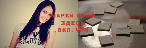 хмурый Аркадак