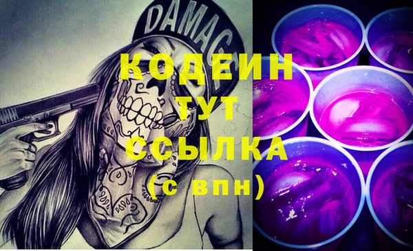 хмурый Аркадак