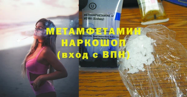 хмурый Аркадак