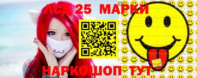 гидра Ставрополь