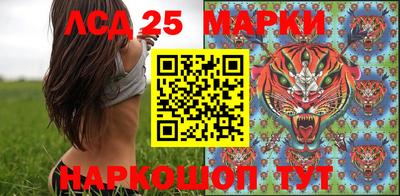 гидра Ставрополь