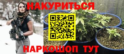 гидра Ставрополь