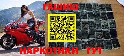 гидра Ставрополь