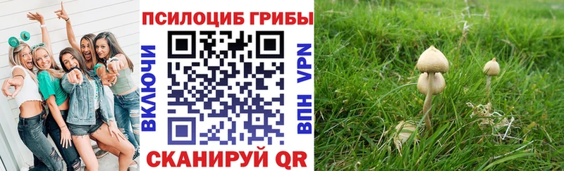 Псилоцибиновые грибы мухоморы  Копейск 