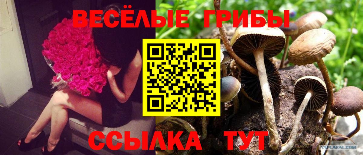 Псилоцибиновые грибы Magic Shrooms  Галлюциногенные грибы Psilocybe  Вход с VPN  Копейск 