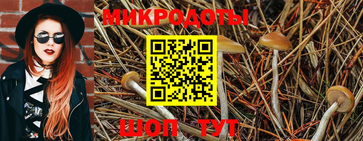 Галлюциногенные грибы ЛСД Копейск